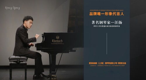 愛(ài)森納赫汪揚(yáng)藝術(shù)家概念鋼琴 成伯牙鋼琴藝術(shù)節(jié)指定用琴